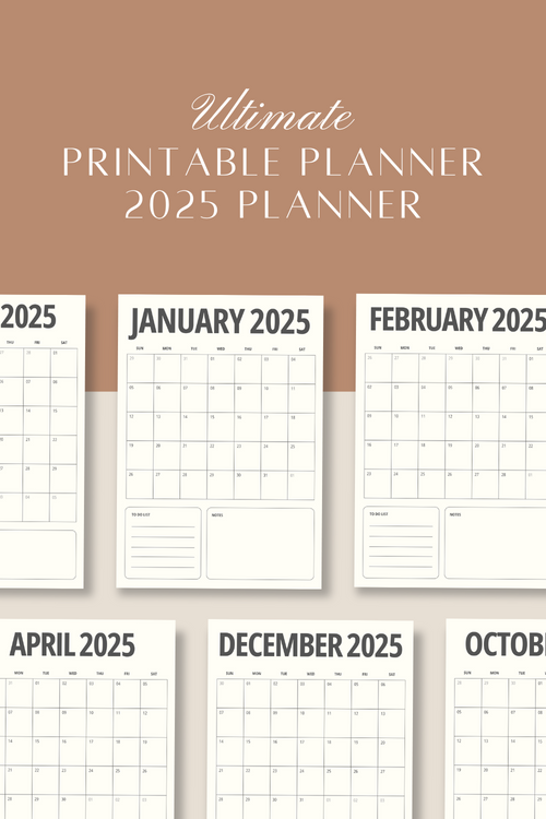 Beige & Dark Grey Minimalist 2025 Monthly Planner Calendar (A4 Portrait)